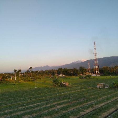 لوفينا Villa Bintang المظهر الخارجي الصورة
